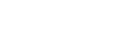 the handyman north east logo upscaled white